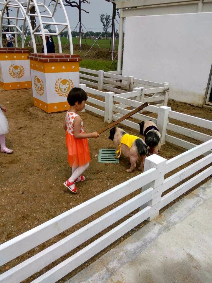 贝斯特 - 全球最奢华的游戏平台