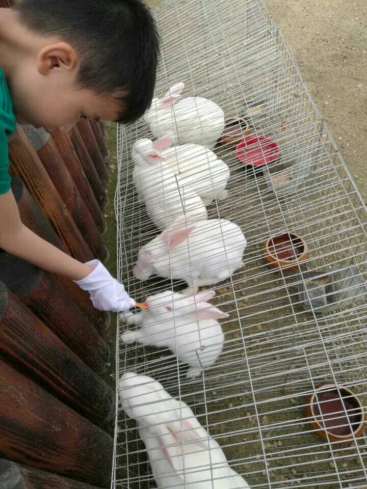 贝斯特 - 全球最奢华的游戏平台