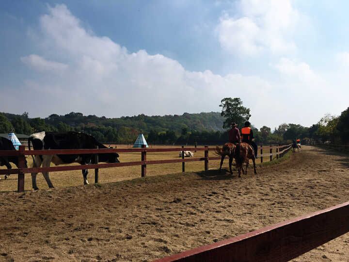 贝斯特 - 全球最奢华的游戏平台
